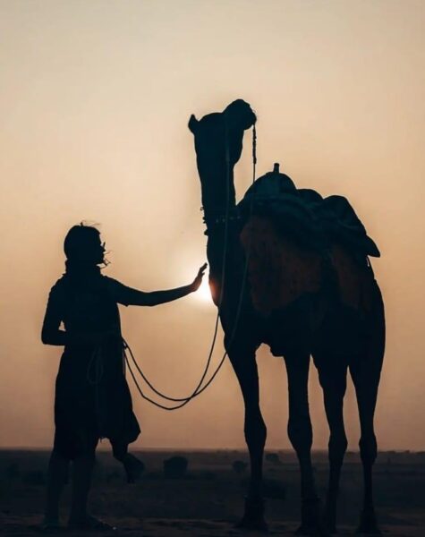 thegoldencityjaisalmertour-19